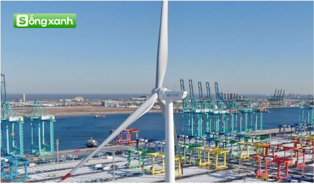 Cảng Thiên Tân - Ảnh 2.