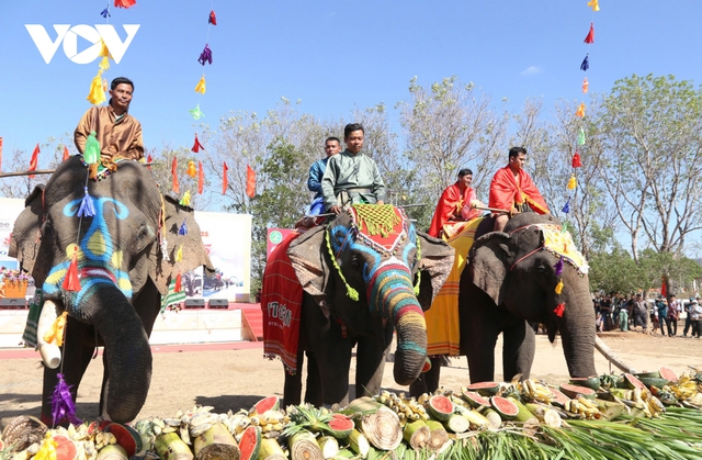 Xã rộng nhất Việt Nam, diện tích lớn hơn cả Bắc Ninh, Hưng Yên: 98% nằm trong một Vườn quốc gia đặc biệt - Ảnh 3.