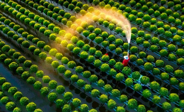 Lĩnh vực Nông nghiệp chục tỷ đô của Việt Nam "cất cánh" mạnh mẽ: Khả năng dẫn đầu ASEAN, thế giới đang đua làm - Ảnh 1. Lĩnh vực Nông nghiệp chục tỷ đô của Việt Nam "cất cánh" mạnh mẽ: Khả năng dẫn đầu ASEAN, thế giới đang đua làm - Ảnh 1.