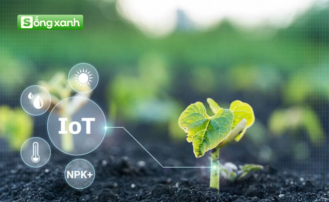 Lĩnh vực Nông nghiệp chục tỷ đô của Việt Nam "cất cánh" mạnh mẽ: Khả năng dẫn đầu ASEAN, thế giới đang đua làm - Ảnh 4. Lĩnh vực Nông nghiệp chục tỷ đô của Việt Nam "cất cánh" mạnh mẽ: Khả năng dẫn đầu ASEAN, thế giới đang đua làm - Ảnh 4.