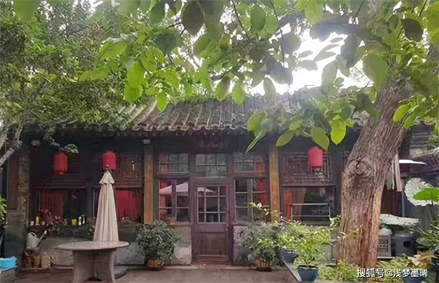 "Trong nhà có cây thanh long, con cháu dễ giàu có": Dựa trên cơ sở khoa học thì đó là loại thực vật nào? - Ảnh 1.