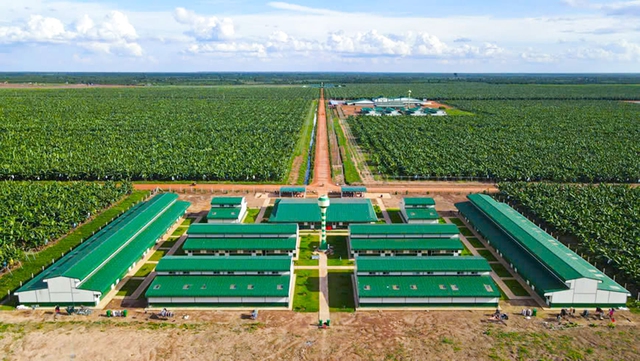 THACO vừa thâu tóm doanh thu khủng: 2.200 tỷ từ "mỏ vàng" 840 km2 xuyên biên giới - Ảnh 3. THACO vừa thâu tóm doanh thu khủng: 2.200 tỷ từ "mỏ vàng" 840 km2 xuyên biên giới - Ảnh 3.