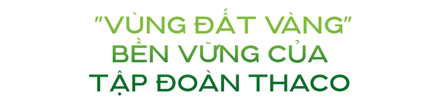 THACO vừa thâu tóm doanh thu khủng: 2.200 tỷ từ "mỏ vàng" 840 km2 xuyên biên giới - Ảnh 2. THACO vừa thâu tóm doanh thu khủng: 2.200 tỷ từ "mỏ vàng" 840 km2 xuyên biên giới - Ảnh 2.