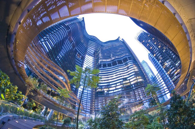Singapore Tìm được "kho báu" rừng xanh: Singapore tung mục tiêu lớn; dự báo nhu cầu thế giới tăng 100 lần vào 2050 - Ảnh 1.