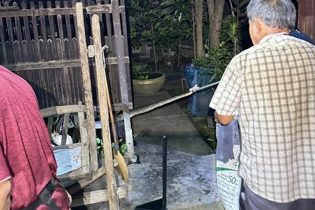 Đến nhà dân để sơ tán trăn khủng, nhân viên cứu hộ bị con vật tấn công bất ngờ, chủ nhà... - Ảnh 1.