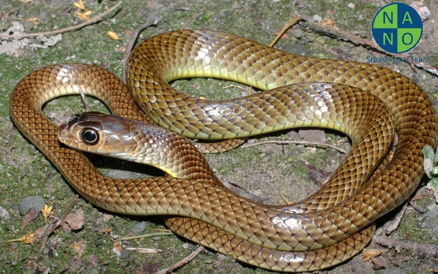 Đoạn video vỏn vẹn 16 giây mở cốp xe của người đàn ông khiến dân tình nổi hết da gà - Ảnh 2.