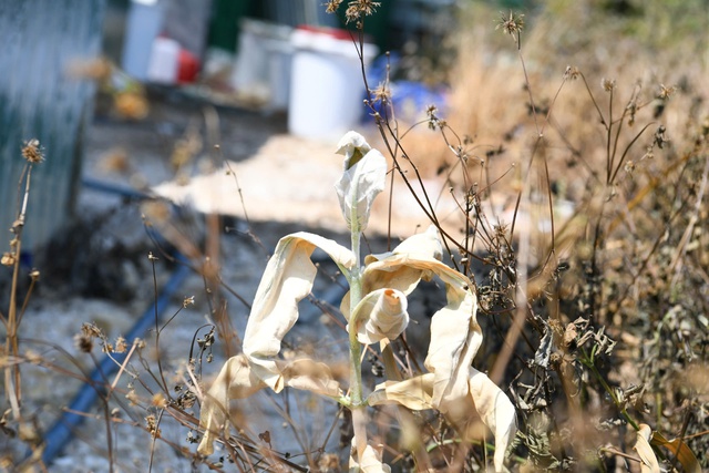 Hình ảnh bất ngờ ở khu nhà xưởng sản xuất lô 1,4 tấn ma túy lớn nhất Việt Nam - Ảnh 4.