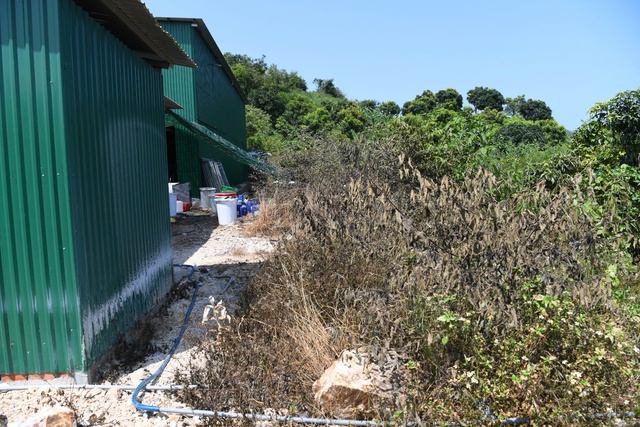 Hình ảnh bất ngờ ở khu nhà xưởng sản xuất lô 1,4 tấn ma túy lớn nhất Việt Nam - Ảnh 12.