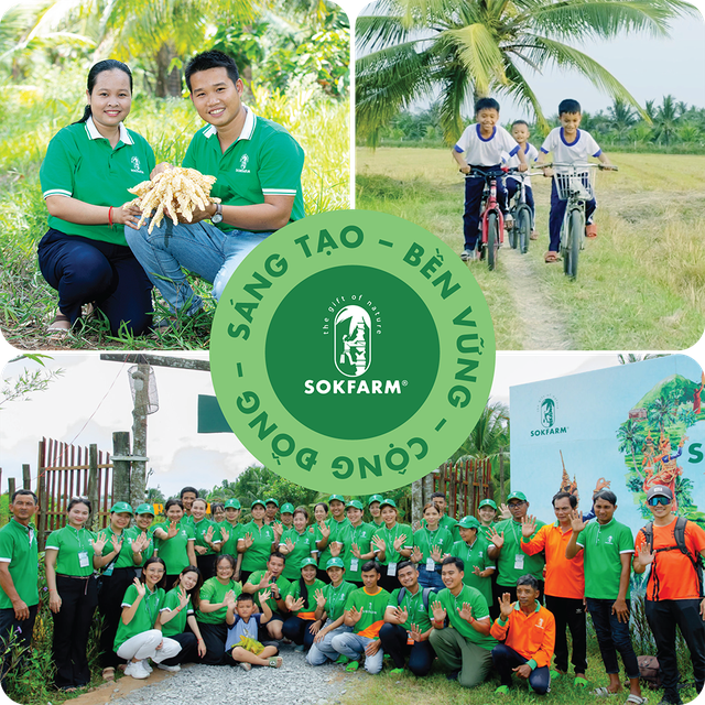 CEO SokfarmKiên trì hứng "vàng lỏng" từ cây dừa, chàng thạc sĩ bỏ nghề về quê thu được 30 tỷ mỗi năm - Ảnh 4.