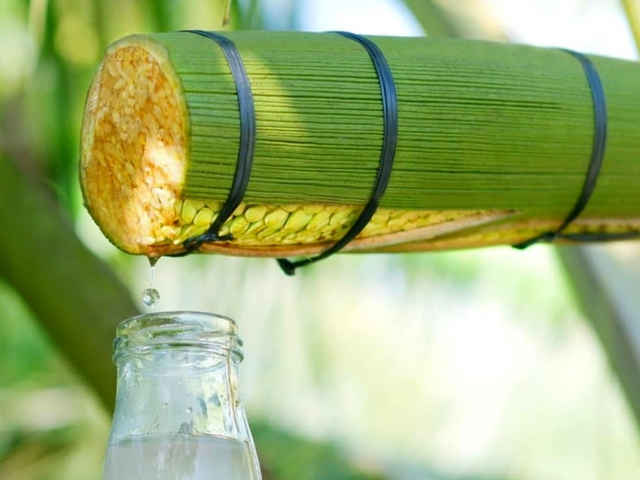 CEO SokfarmKiên trì hứng "vàng lỏng" từ cây dừa, chàng thạc sĩ bỏ nghề về quê thu được 30 tỷ mỗi năm - Ảnh 1.