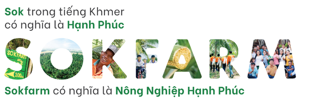 CEO SokfarmKiên trì hứng "vàng lỏng" từ cây dừa, chàng thạc sĩ bỏ nghề về quê thu được 30 tỷ mỗi năm - Ảnh 3.