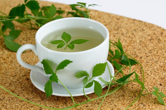 Loại cây mọc dại ở Việt Nam được báo Mỹ gọi là "thảo dược trường sinh”: Bác sĩ nói tốt gấp 8 lần trà xanh - Ảnh 2.