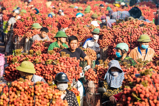 Một đặc sản của Việt Nam tự tin 