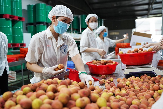 Một đặc sản của Việt Nam tự tin 