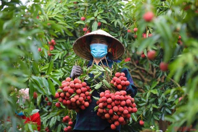 Một đặc sản của Việt Nam tự tin 