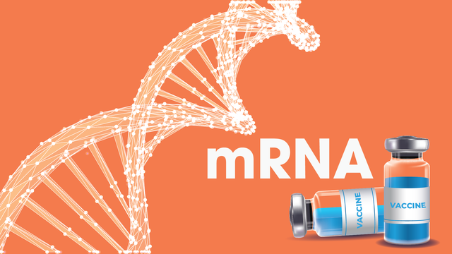 Tổng Bí thư Tô Lâm và Tổng thống Putin vừa chứng kiến thời khắc quan trọng tại Moscow: VNVC  - Ảnh 3.