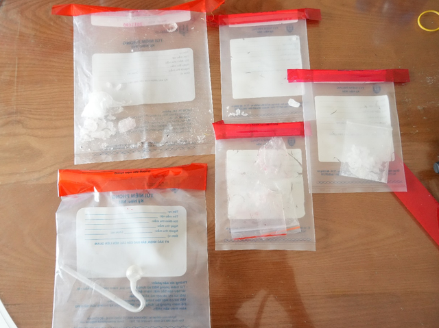 Khám xét khẩn cấp nhà và xe của Lê Nguyễn Nhật Hoài - Ảnh 3.