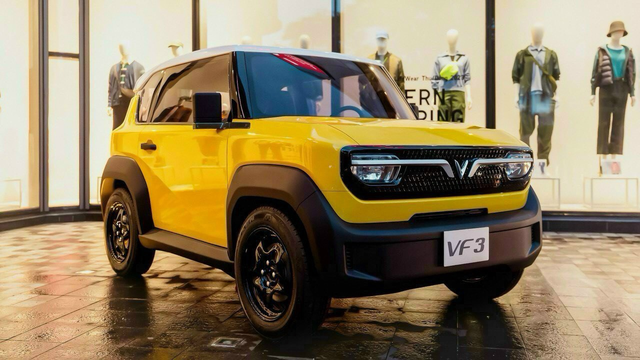 Xôn xao chiếc VinFast VF 3 mỗi ngày sạc 4 lần và đi đều 1.000km suốt 9 tháng, dân mạng: Không tin nổi - Ảnh 2.