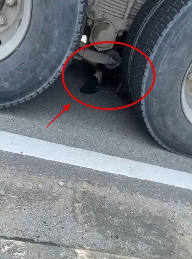 Tài xế xe tải gây tai nạn chết người tại chỗ dừng chờ đèn đỏ - Ảnh 2. Tài xế xe tải gây tai nạn chết người tại chỗ dừng chờ đèn đỏ - Ảnh 2.