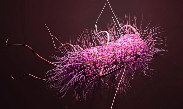 "Báu vật saarvienin A" tại mỏ đất hiếm lớn nhất thế giới: Có thể thay đổi tương lai nhân loại - Ảnh 2.