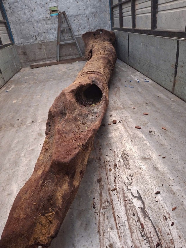 Khối vàng gỗ sưa đỏ bị vùi lấp ở Quảng Bình sẽ được xử lý như thế nào? - Ảnh 1. Khối vàng gỗ sưa đỏ bị vùi lấp ở Quảng Bình sẽ được xử lý như thế nào? - Ảnh 1.