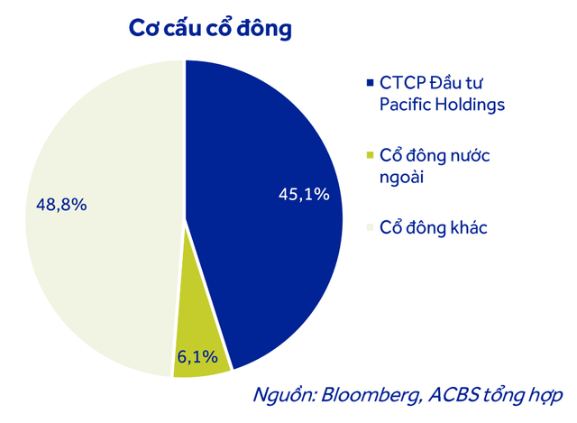 Từng được Nhà nước rót vốn, tham gia loạt dự án đình đám, cánh chim đầu ngành xây dựng VN hiện ra sao? - Ảnh 1.