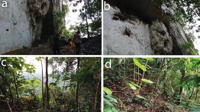 Lần theo manh mối được cung cấp tới vách đá, chuyên gia hân hoan tìm thấy loài "tuyệt chủng" hơn 170 năm - Ảnh 4.