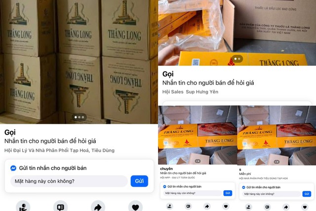Bắt tạm giam Giám đốc Trần Văn Trường và chị gái - Ảnh 2.
