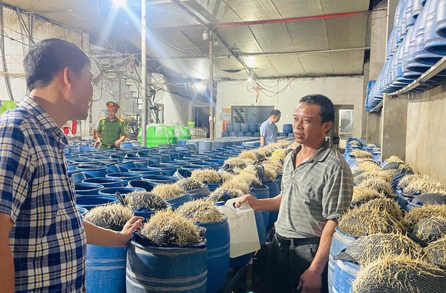 Lưu Văn Vẽ cùng Tạ Văn Hải cấu kết đưa 348 tấn giá đỗ độc hại ra thị trường: Chất cấm nào được sử dụng? - Ảnh 1.