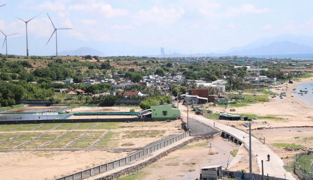 Việt Nam làm dự án