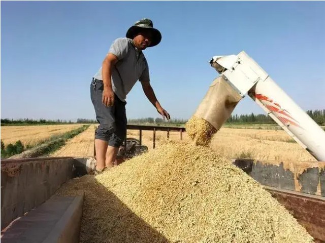 Vượt nhiều "ông lớn", Trung Quốc vô tình giải quyết bài toán khó nhằn của thế giới nhờ thí nghiệm táo bạo - Ảnh 7.