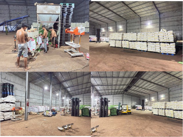 Tạm giữ hình sự 2 anh em Giám đốc Mai Xuân Tưởng, Mai Văn Đức - Ảnh 3.