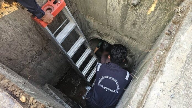 Nghe tiếng kêu dưới cống, người dân chạy tới thấy cảnh bất ngờ - Ảnh 2.