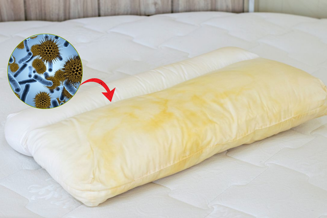 Cảnh báo 2 sai lầm tai hại khi sử dụng gối: Số 1 “dẫn lối” cho đột quỵ, bác sĩ nói nên tránh - Ảnh 2.