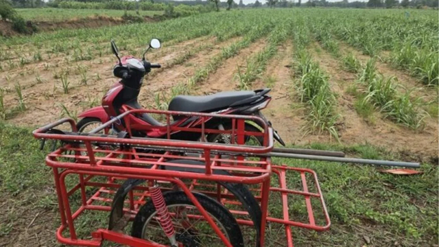 Không nghe lời can của vợ, nhất quyết đi ra đồng lúc mưa gió, người đàn ông gặp cái kết bi thảm - Ảnh 1.