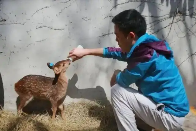 Đem con con 3 ngày tuổi về nuôi, chuyên gia hân hoan khi tìm thấy loài được cho tuyệt chủng gần 30 năm - Ảnh 2.