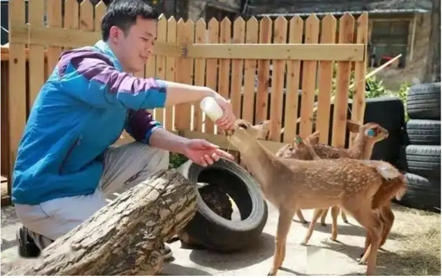 Đem con con 3 ngày tuổi về nuôi, chuyên gia hân hoan khi tìm thấy loài được cho tuyệt chủng gần 30 năm - Ảnh 5.