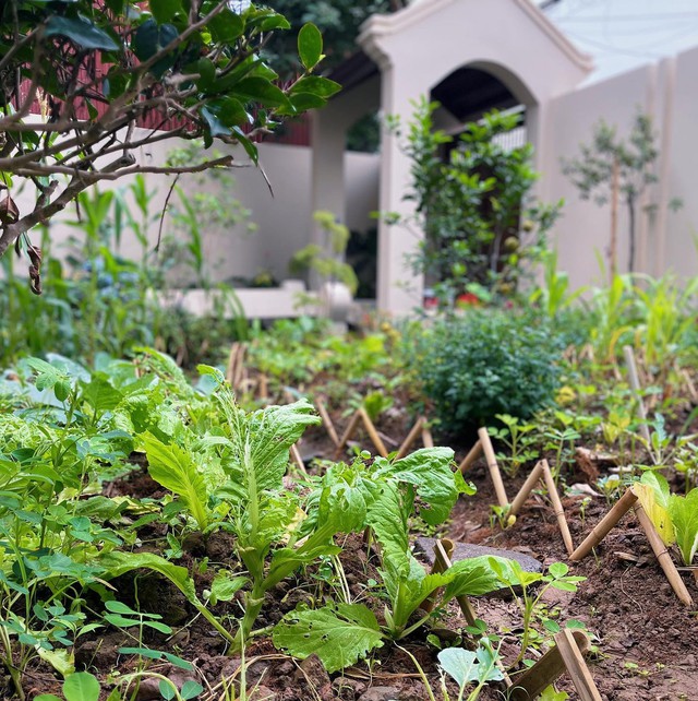 Nhà hàng đầu tiên tại Hà Nội giành Michelin Green Star: Chỉ phục vụ buổi tối, kèm yêu cầu đặt chỗ trước - Ảnh 2.