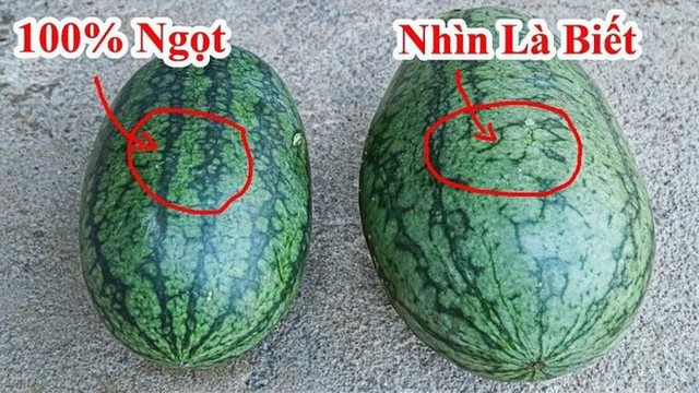 Trong 10 quả dưa hấu, đâu là quả dưa ngon nhất? Chat GPT đưa ra câu trả lời gây bất ngờ - Ảnh 4.