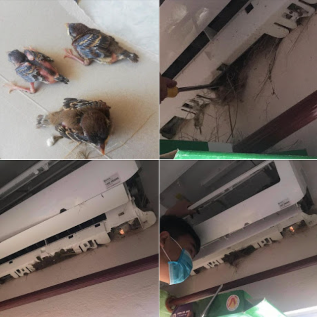 Kiểm tra điều hòa, người dùng sững người bởi cảnh tượng trước mặt: Nguyên nhân rất nhiều nhà chủ quan - Ảnh 3.