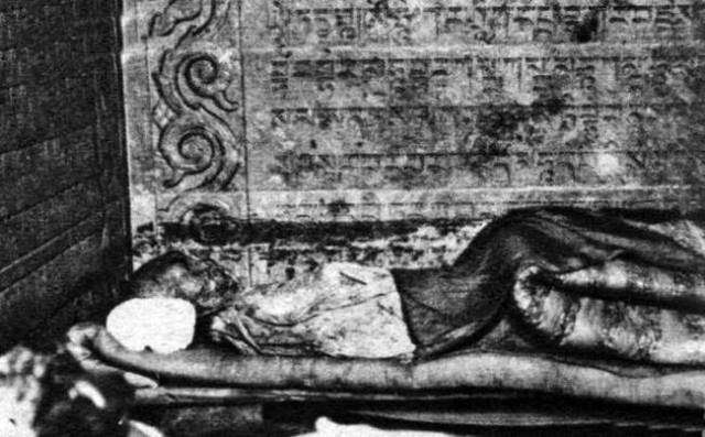 Bị Tôn Điện Anh đụng chạm, thi thể Từ Hi đột nhiên"mọc" lông trắng: Chuyên gia ra mặt lý giải lời đồn - Ảnh 3.