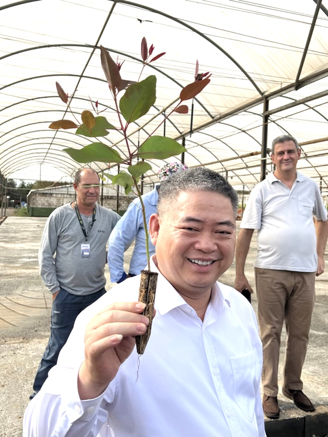 Tập đoàn Xuân Thiện sở hữu siêu nhà máy 100.000 tỷ đang làm "dự án khủng" tại Angola - Ảnh 2.