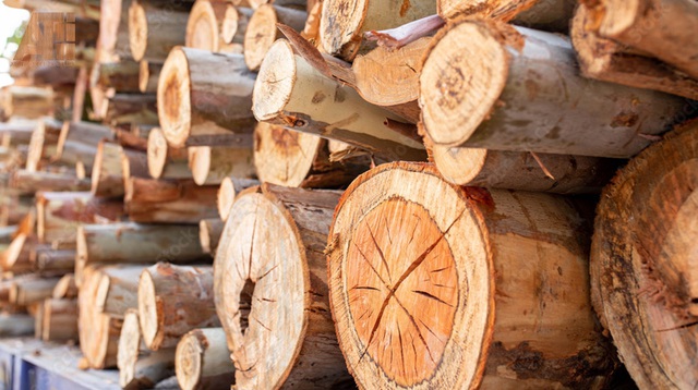 Tập đoàn Xuân Thiện sở hữu siêu nhà máy 100.000 tỷ đang làm "dự án khủng" tại Angola - Ảnh 3.