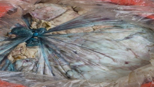 Công an bất ngờ khám xét chiếc xe khách, phát hiện cảnh tượng khủng khiếp bên trong  - Ảnh 1.