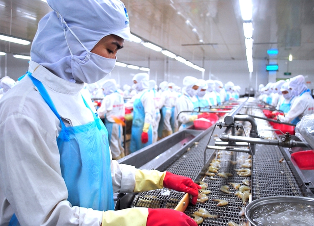 "Kho báu dưới nước" Thủy Sản mang tỷ USD cho Việt Nam: Bí quyết vàng từ doanh nghiệp đứng Top 1 - Ảnh 1.