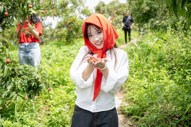 54 tấn vải Lục Ngạn bán hết veo sau phiên live 6 tiếng, PCT Bắc Giang nêu rõ 3 từ "đạt chuẩn sang Mỹ" - Ảnh 5.