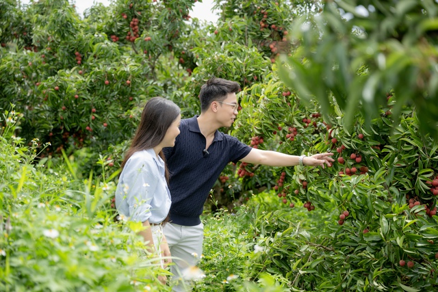 54 tấn vải Lục Ngạn bán hết veo sau phiên live 6 tiếng, PCT Bắc Giang nêu rõ 3 từ "đạt chuẩn sang Mỹ" - Ảnh 2.