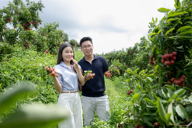 54 tấn vải Lục Ngạn bán hết veo sau phiên live 6 tiếng, PCT Bắc Giang nêu rõ 3 từ "đạt chuẩn sang Mỹ" - Ảnh 1.