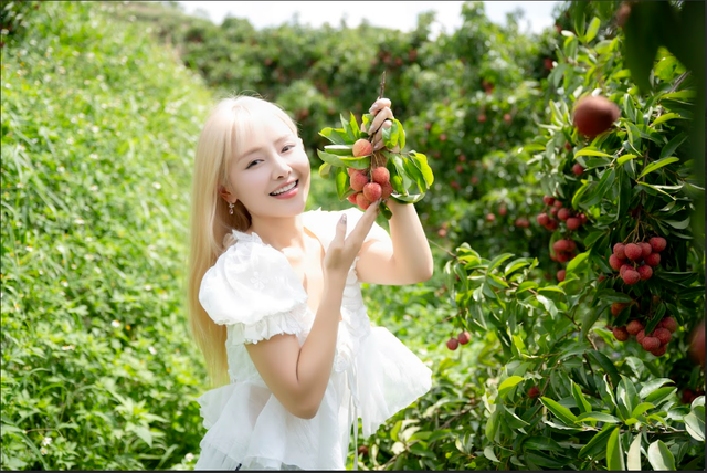 54 tấn vải Lục Ngạn bán hết veo sau phiên live 6 tiếng, PCT Bắc Giang nêu rõ 3 từ "đạt chuẩn sang Mỹ" - Ảnh 4.