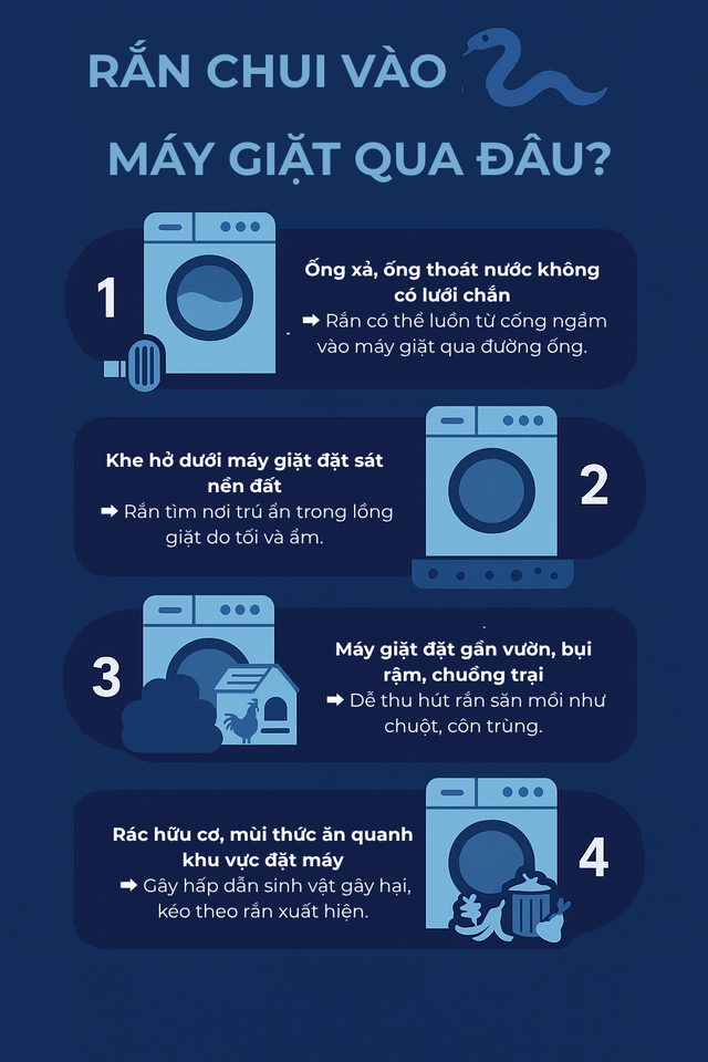 Kiểm tra máy giặt, người dùng tá hỏa phát hiện có rắn bên trong: Chúng đi vào từ đường nào? - Ảnh 3.